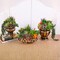 18 Pack Artificial Succulents Realistic Textured Fake Succulents Unpotted Artificial Cactus Plant Suitable for Garden Home Office Greening and Decoration